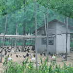 Orchard Netting UV-Resistant Tear-Resistant Bird & Deer Protection