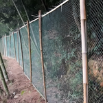 Orchard Netting UV-Resistant Tear-Resistant Bird & Deer Protection