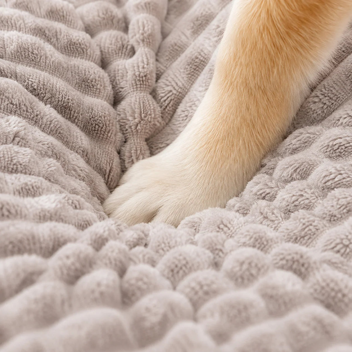 Orthopedic Dog Bed Memory Foam Raised Backrest Washable Cover
