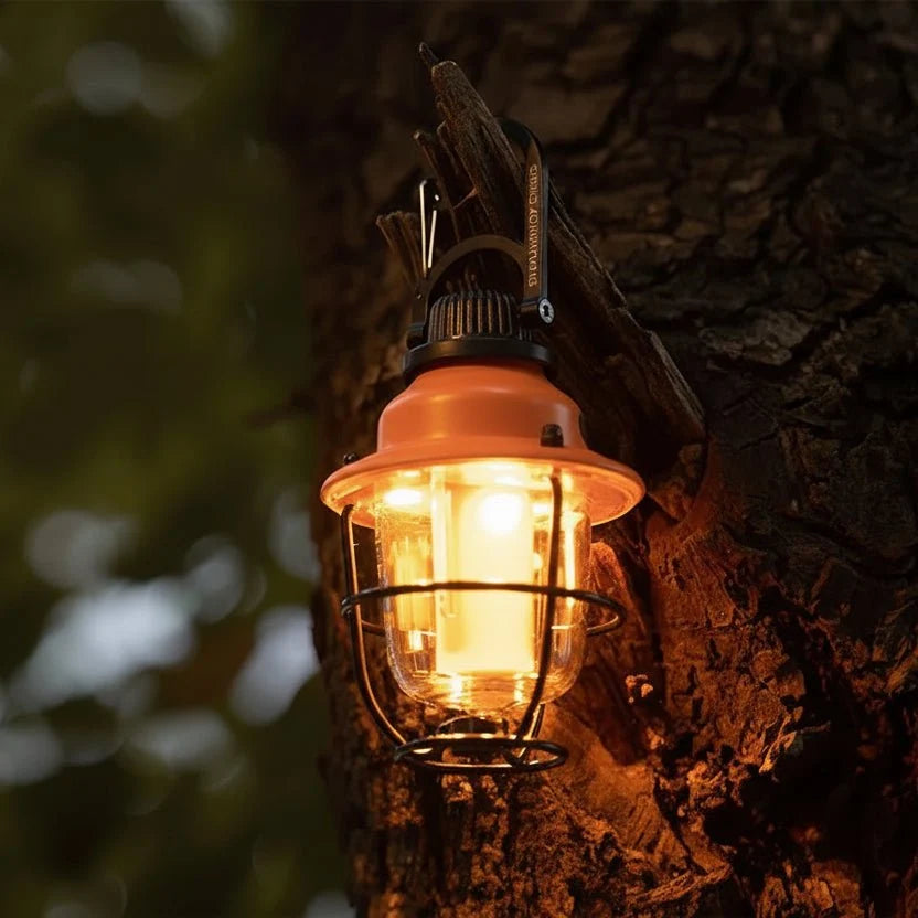 Outdoor Lamp LED Locking Spike Warm Light