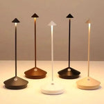 Outdoor Spike Light Waterproof Dimmable USB Rechargeable