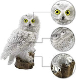 Owl Garden Light Solar-Powered Warm White LED IP65