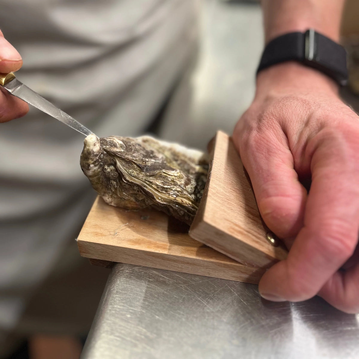 Oyster Shucking Clamp Stainless Steel Blade & Non-Slip Base