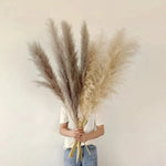 Pampas Grass Stems Artificial Feathery 25.6 Inch