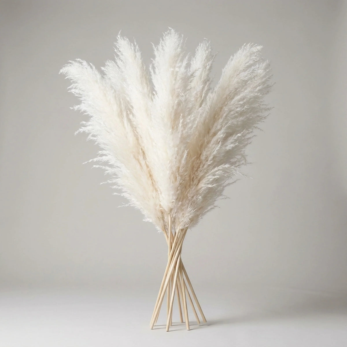 Pampas Grass Stems Artificial Feathery 25.6 Inch