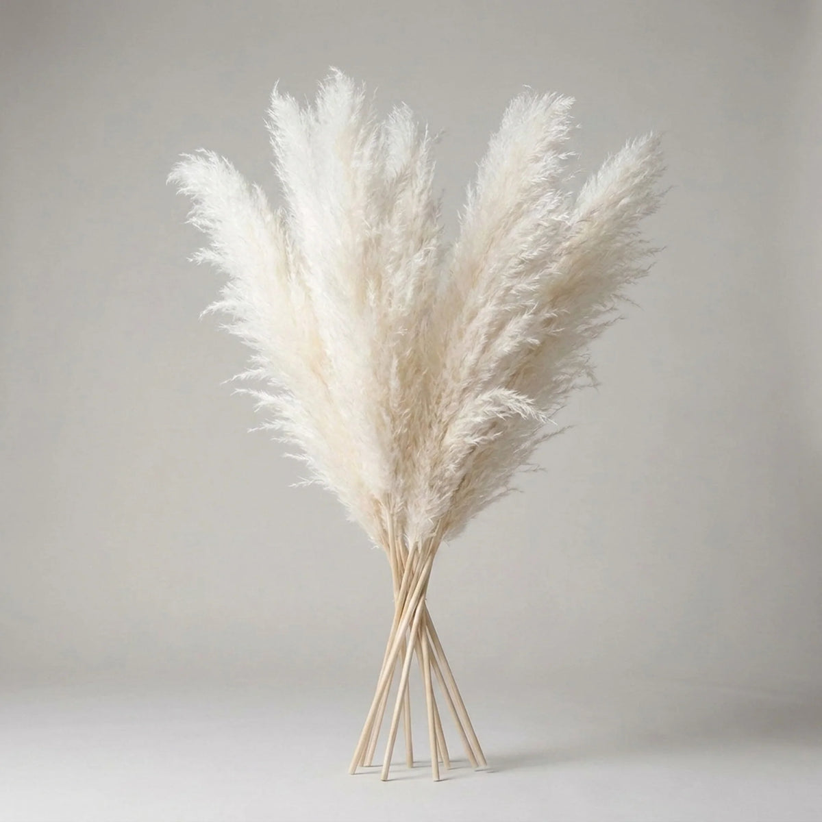 Pampas Grass Stems Artificial Feathery 25.6 Inch