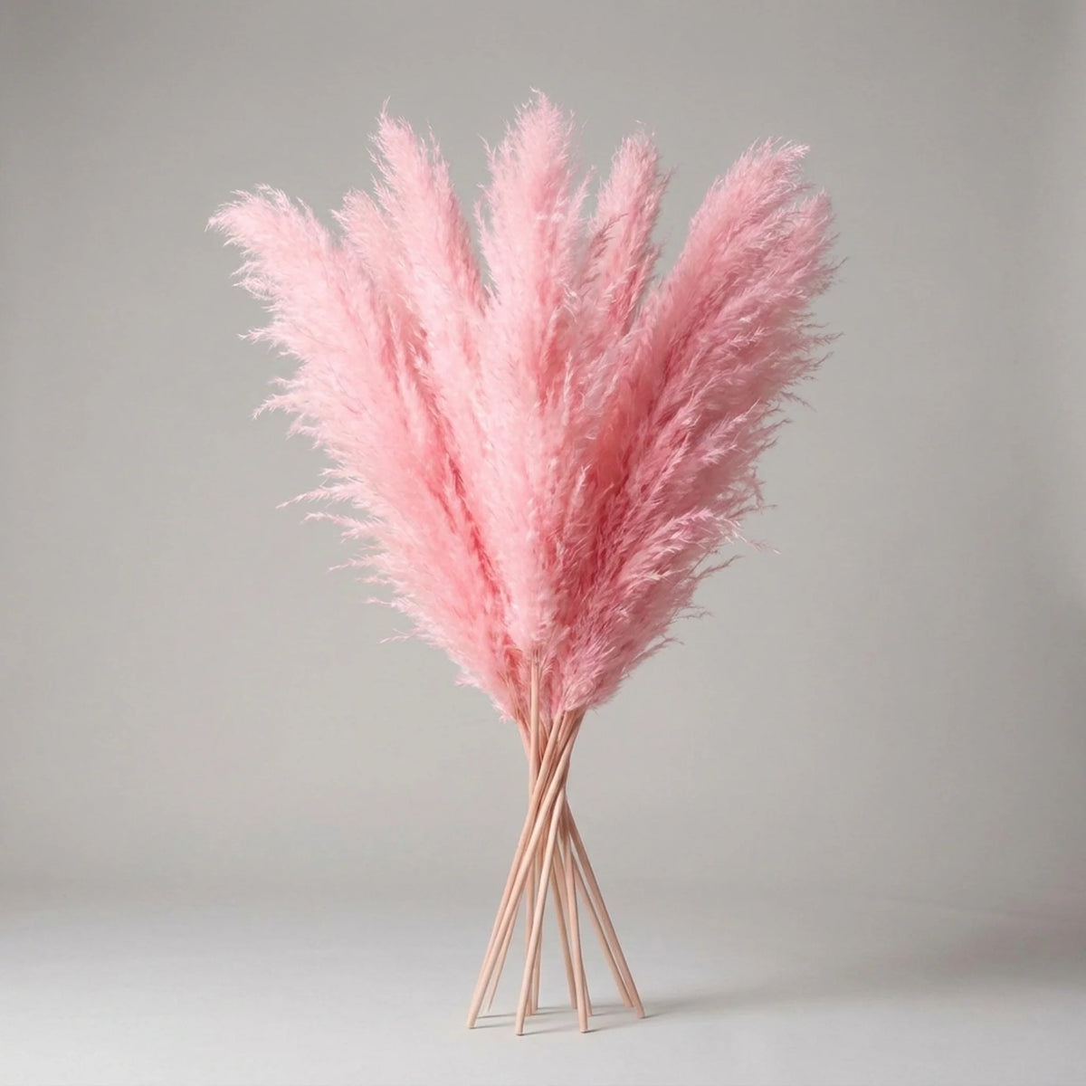 Pampas Grass Stems Artificial Feathery 25.6 Inch