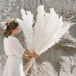 Pampas Grass Stems Artificial Feathery 25.6 Inch