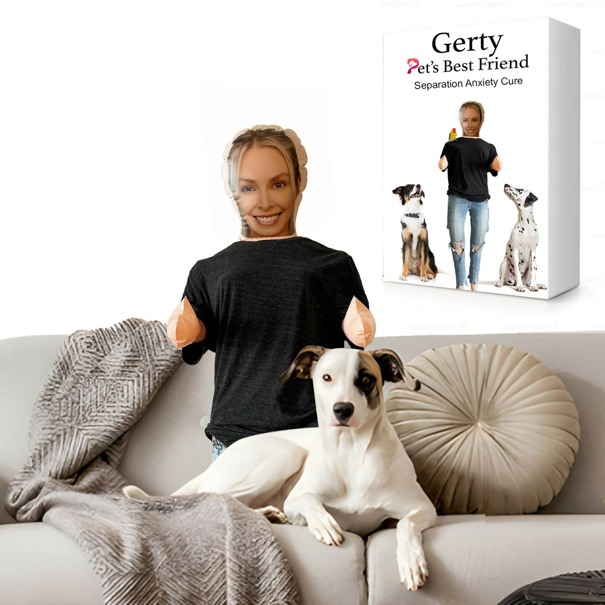 Pet Accessory Playful Everyday Design