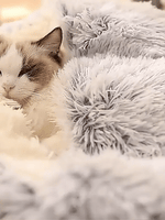 Pet Bed Hooded Cave Joint-Supportive Removable Washable Cover