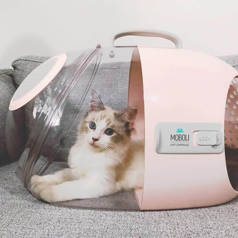 Pet Carrier Transparent Shell 360-Degree Ventilation Lightweight ABS