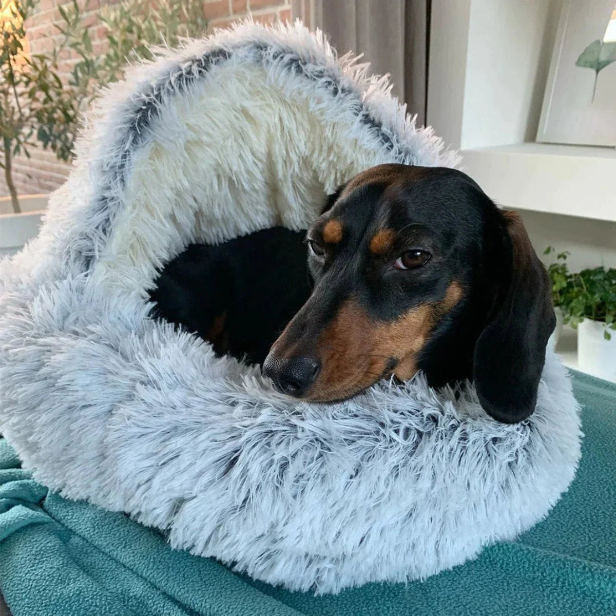 Pet Cave Bed Plush Hooded Machine Washable Cover