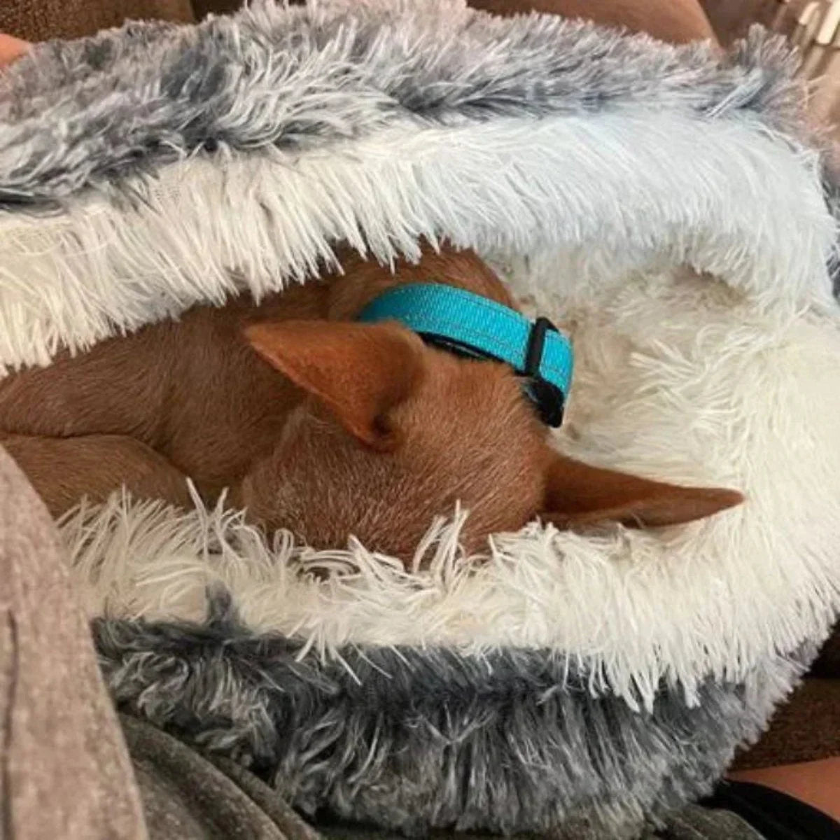 Pet Cave Bed Plush Hooded Machine Washable Cover