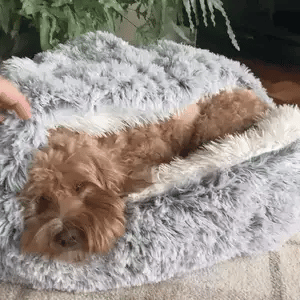 Pet Cave Bed Plush Hooded Machine Washable Cover