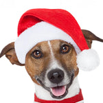 Pet Christmas Hat Plush-Lined Adjustable Washable