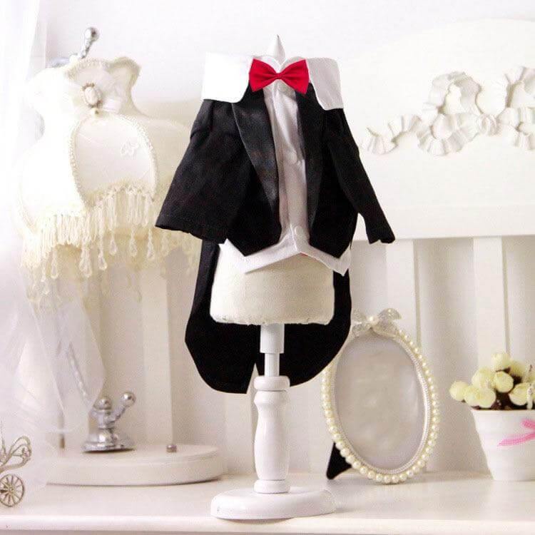 Pet Costume Black Formal Jumpsuit with Collar & Red Tie