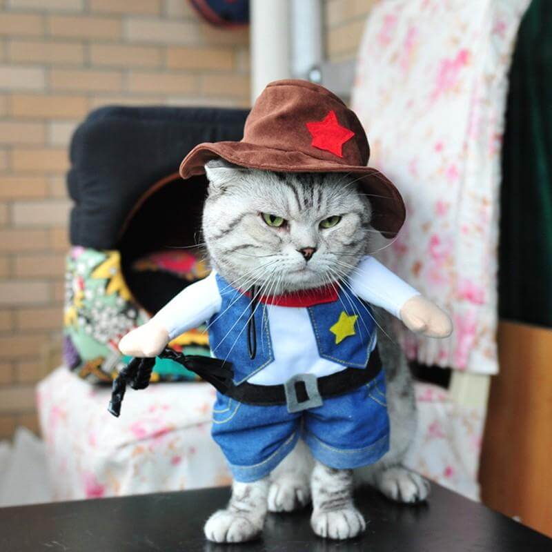 Pet Costume Cowboy Jeans Style Blue,伊人