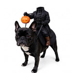 Pet Costume Headless Horseman Light-Up Pumpkin Head