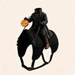 Pet Costume Headless Horseman Light-Up Pumpkin Head