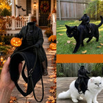 Pet Costume Headless Horseman Light-Up Pumpkin Head