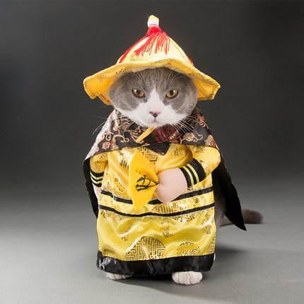 Pet Costume King Suit Sizes S-XL