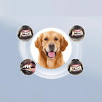 Pet Dental Cleaner Ultrasonic Handheld Tartar Remover for Dogs and Cats