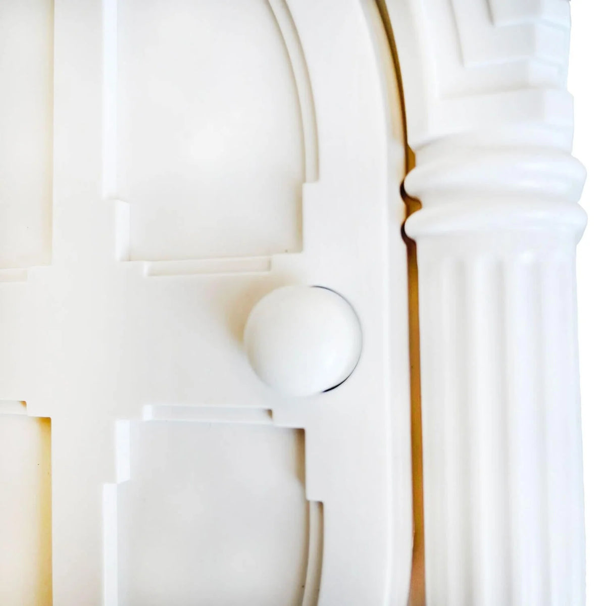 Pet Door Adjustable Access for Cats & Small Dogs