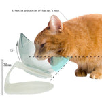 Pet Feeder Bowl Double Bowl Non-Slip Base