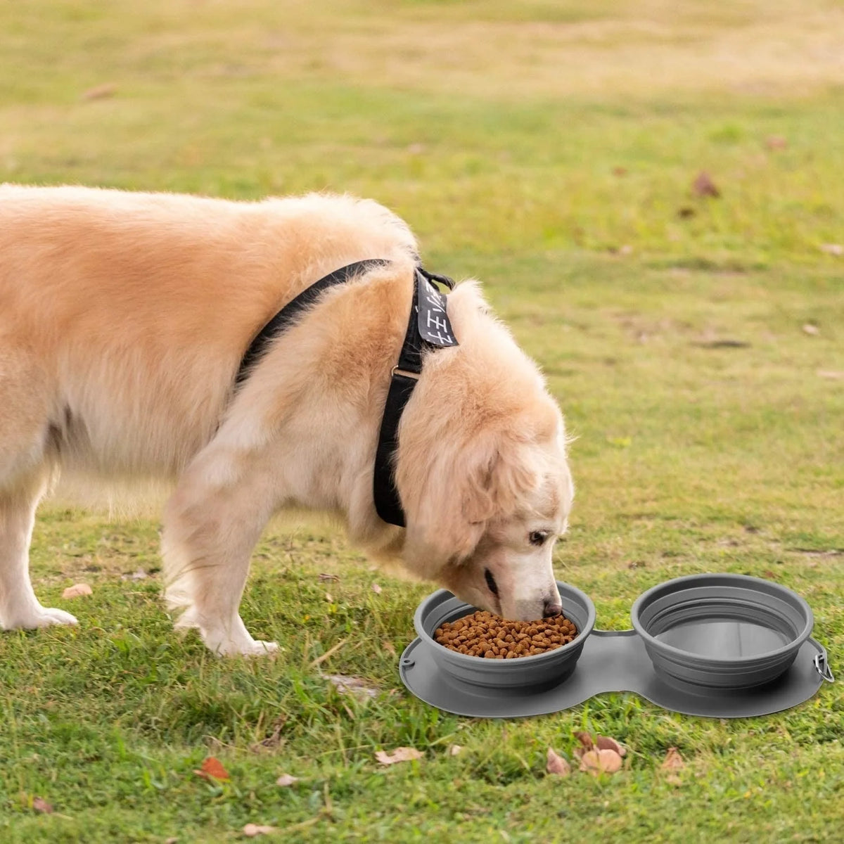 Pet Feeding Bowl Set of 2 Foldable Latex