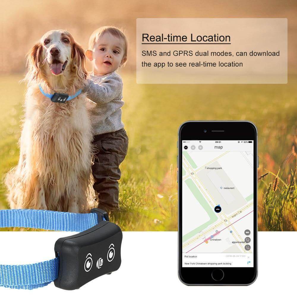 Pet GPS Tracker Real-Time Tracking IP66 Waterproof