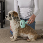 Pet Grooming Brush Steam Mist Stainless Steel Bristles