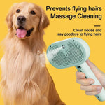Pet Grooming Brush Steam Mist Stainless Steel Bristles