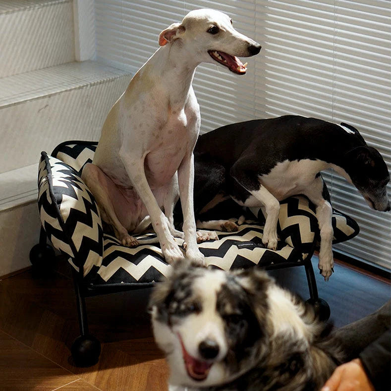 Pet Hammock 2-in-1 Sofa & Travel Removable Washable Cover