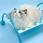 Pet Hammock 2-in-1 Sofa & Travel Removable Washable Cover