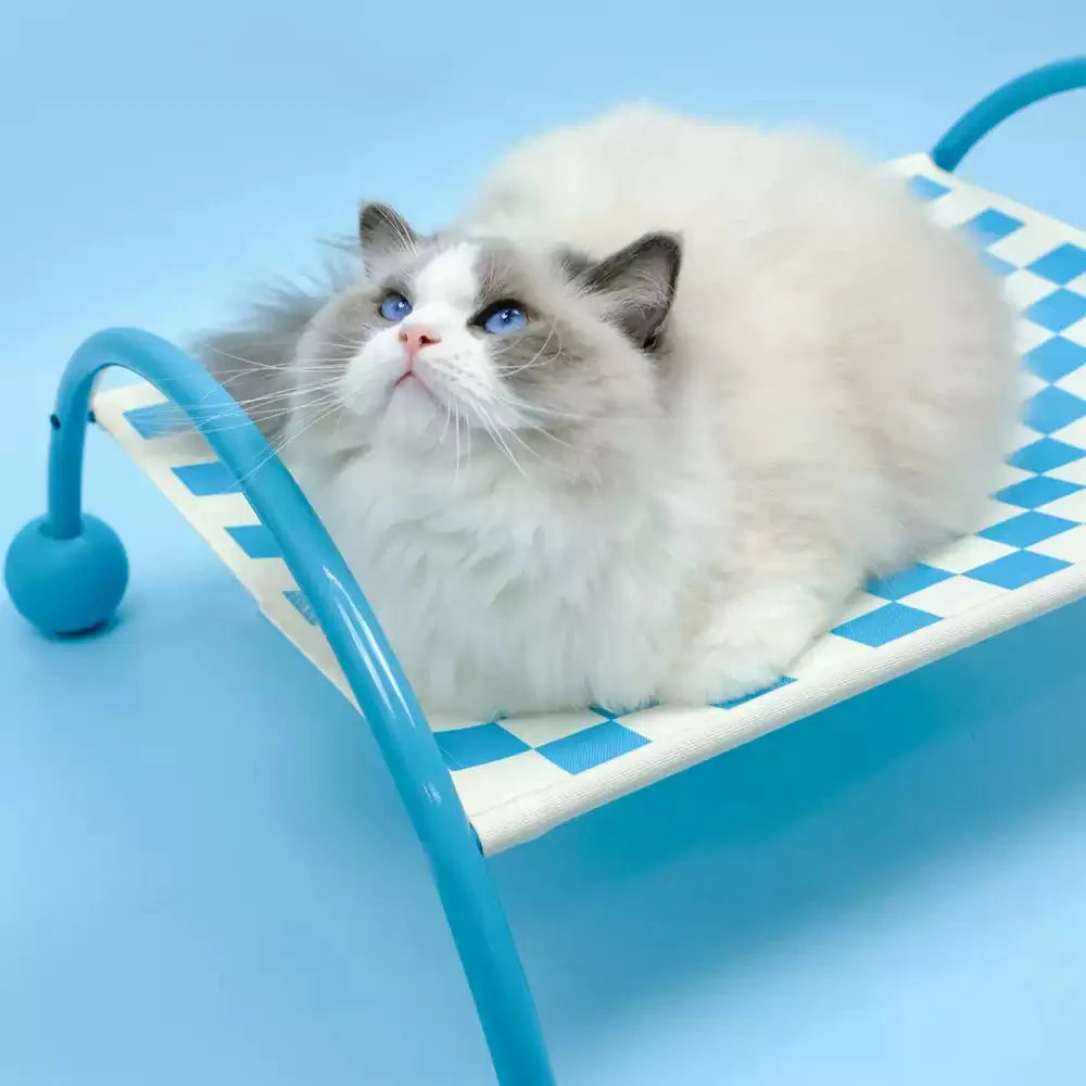 Pet Hammock 2-in-1 Sofa & Travel Removable Washable Cover
