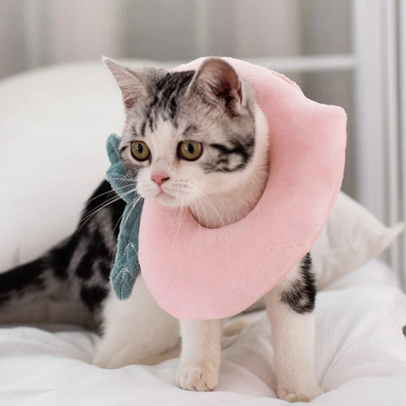 Pet Recovery Collar Soft Cotton Avocado Plush Adjustable