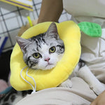 Pet Recovery Collar Soft Cotton Avocado Plush Adjustable