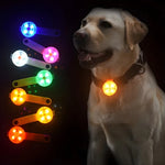 Pet Safety Light USB-Rechargeable Waterproof Clip-On