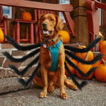 Pet Spider Costume Eight Legs Adjustable Straps Soft Fabric