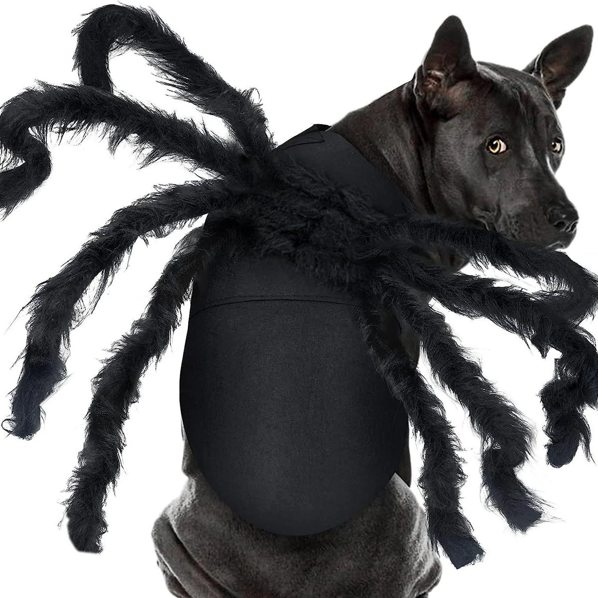 Pet Spider Costume Eight Plush Legs Adjustable Velcro Fit