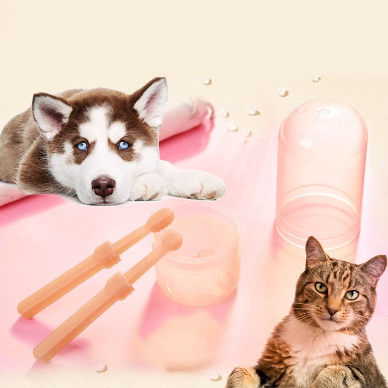 Pet Toothbrush Kit Silicone Brush Tongue Scraper & Storage Case