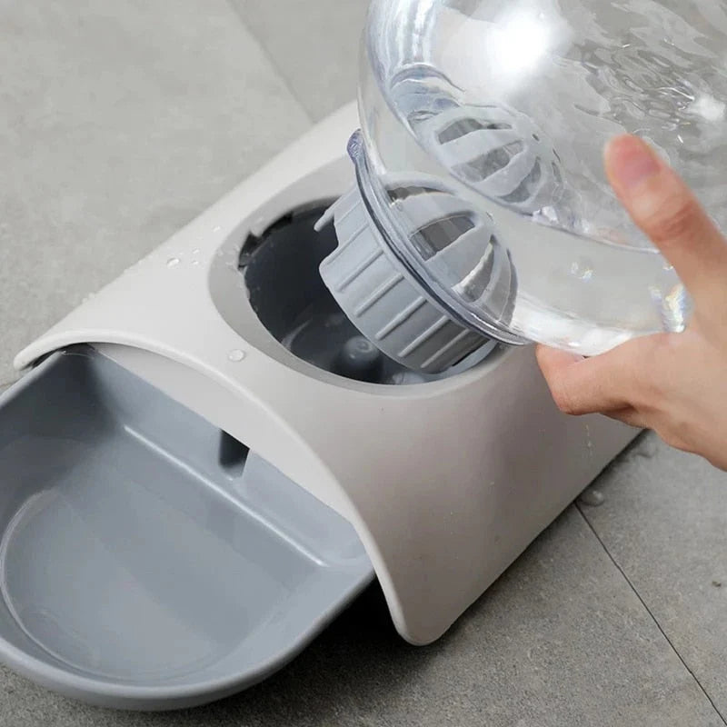 Pet Water Dispenser Automatic Siphon Refill 2.96 Qt Capacity