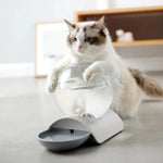 Pet Water Dispenser Automatic Siphon Refill 2.96 Qt Capacity