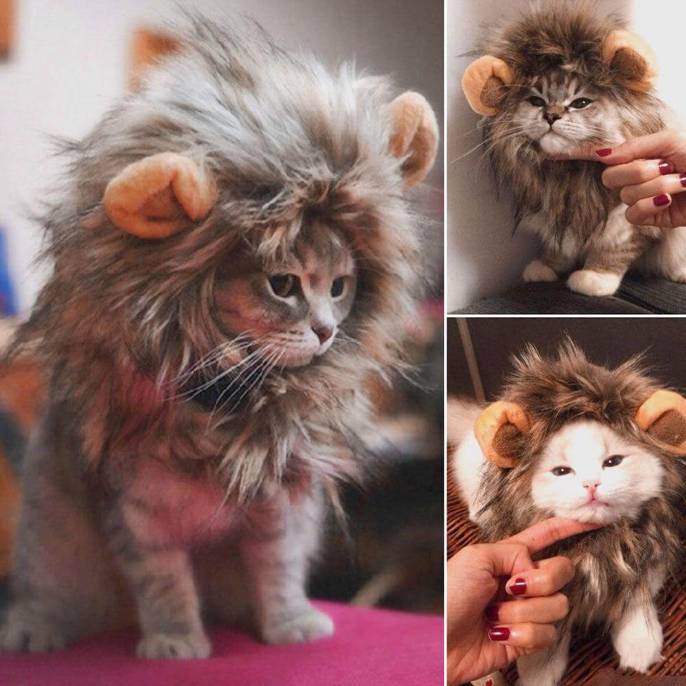 Pet Wig Lion Mane Soft Felt