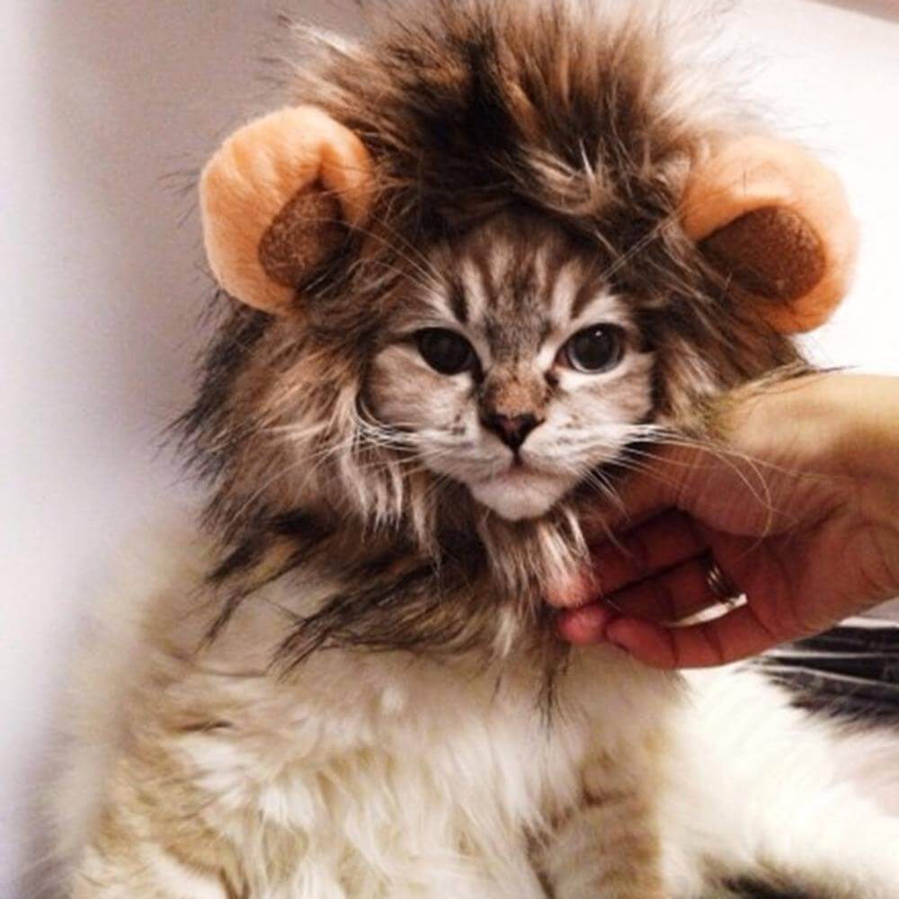 Pet Wig Lion Mane Soft Felt