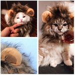 Pet Wig Lion Mane Soft Felt