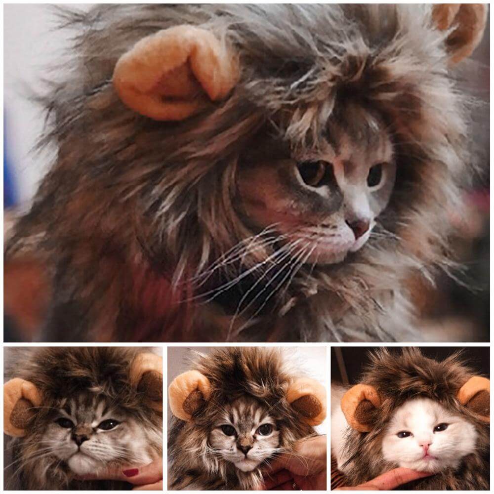 Pet Wig Lion Mane Soft Felt