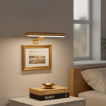 Picture Light LED Cordless Rechargeable 360° Rotating Head & Dimmable Brightness