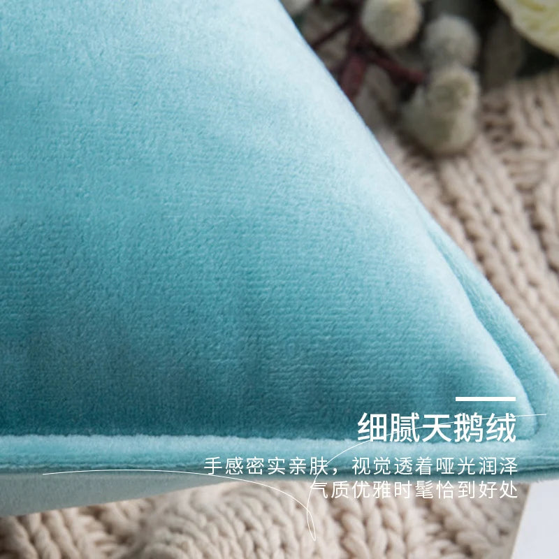 Pillow Cover Low-Pile Velvet Hidden Zipper