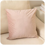 Pillow Cover Ultra-Soft Micro Velour Concealed Zipper Machine Washable